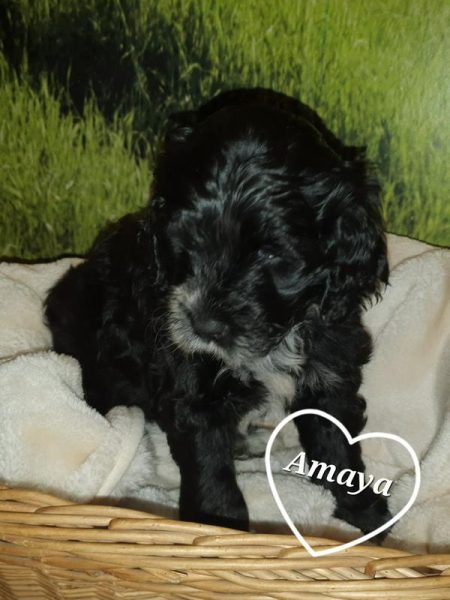 K800_20221109_193917